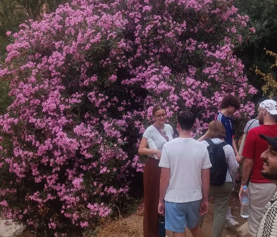 Valley of Roses Experiences
