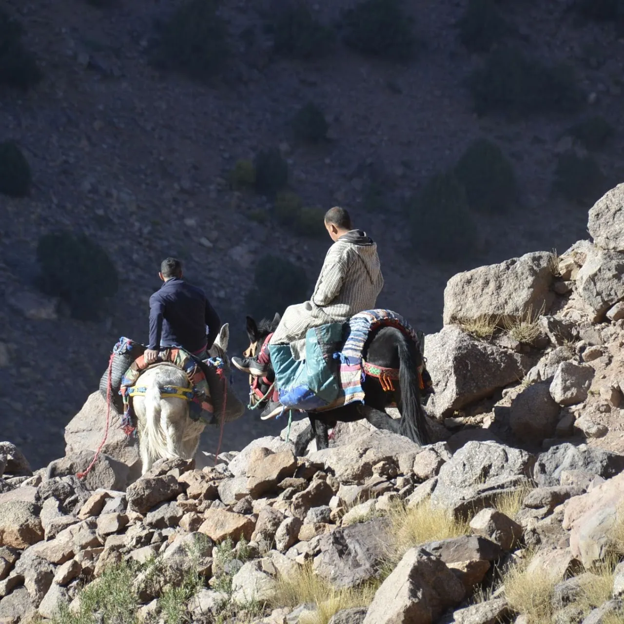 Saghro Mountain Treks